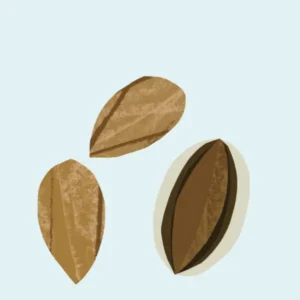 almond_600x-1.png