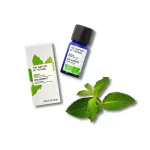 Spearmint eterisk olje 12ml, økologisk